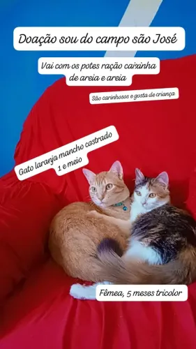 Doação