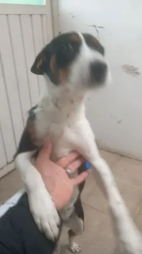 Doação