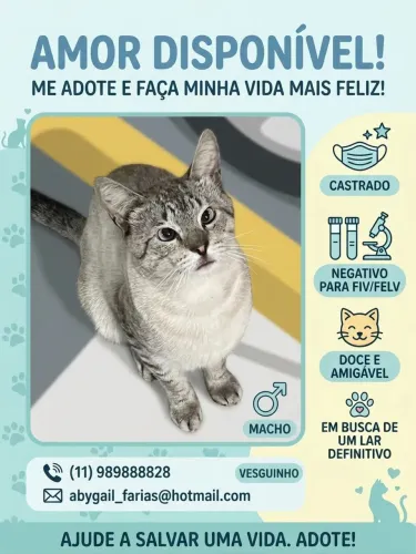 Adoção Responsável