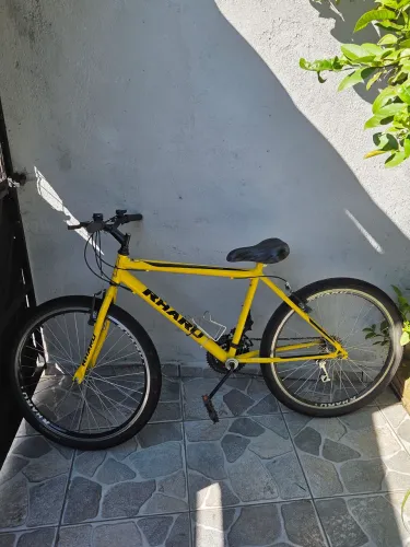 BICICLETA RHARU - ARO 26