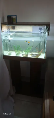 Aquario 50L completo com suporte
