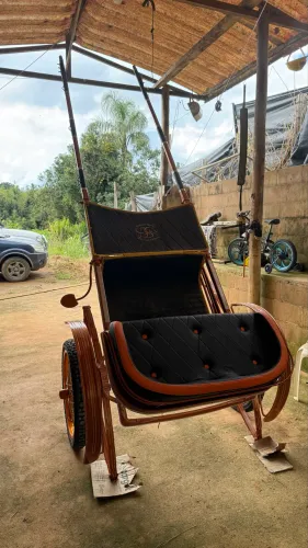 Cavalo mestiço e charrete