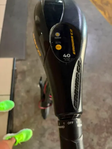Motor elétrico pescaria minn kota 40 lb endura c2