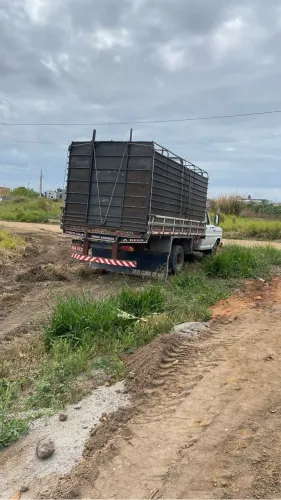 Gaiola Boiadeira para Caminhão 3/4 