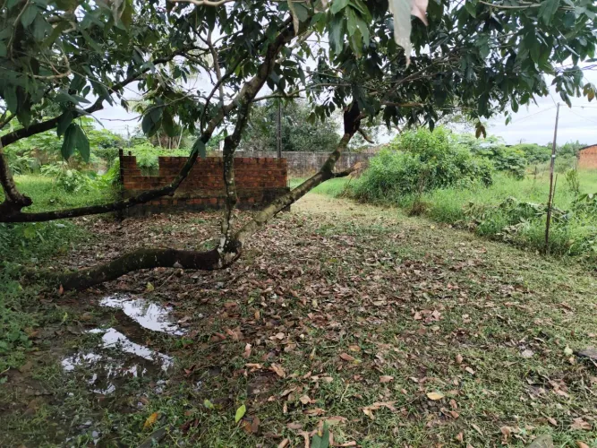 vendo lote 7x20 ( Terreno) no Residencial Jardim das Orquídeas ?