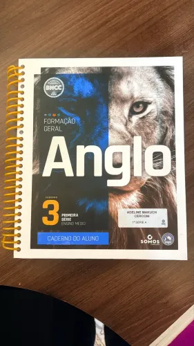 Apostila Anglo