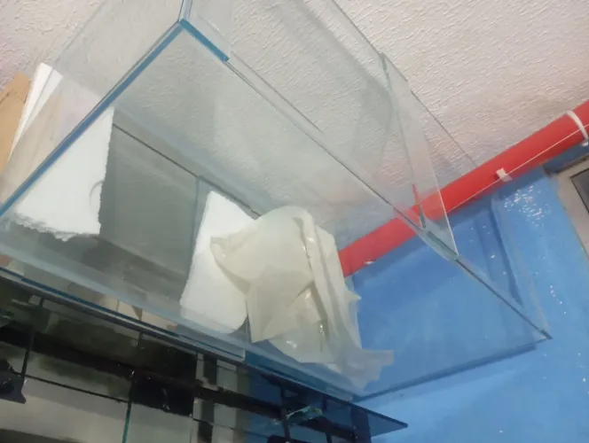 Aquário com vidro ultra clean 1m