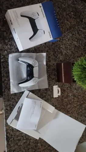 Controle Playstation 5.