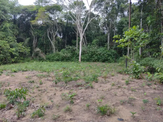 Terreno próximo ramal do Açutuba
