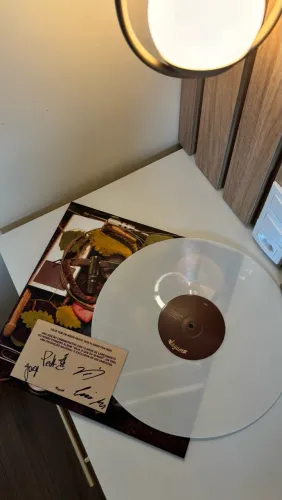 Disco de vinil lagum
