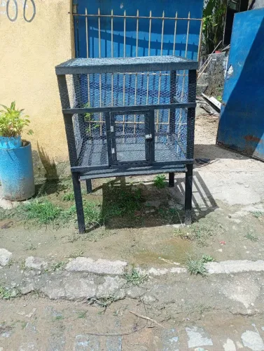 Viveiro pra calopsita 
