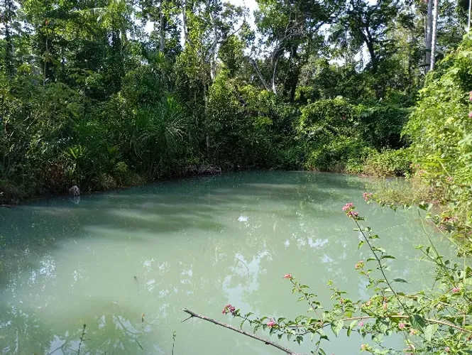 Sítio produzindo, 60 hectare