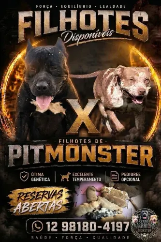 Pitmonster PURO