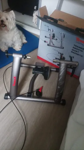 Rolo de treino TranzX JD-138
