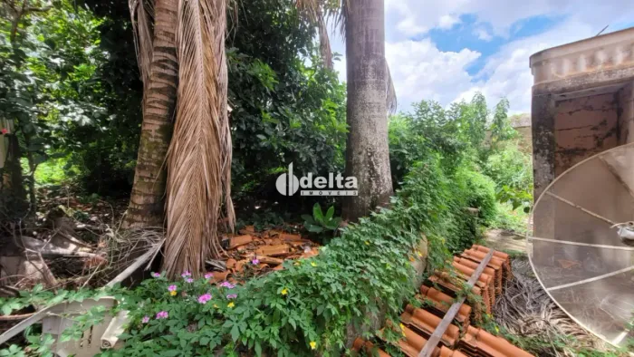 Terreno disponível para venda no bairro Tabajaras em Uberlândia-MG