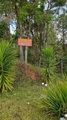 Terreno em Monte Verde - MG
