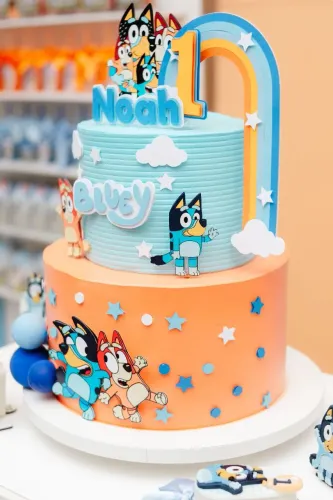 Cobertura Fotográfica de Aniversário Infantil