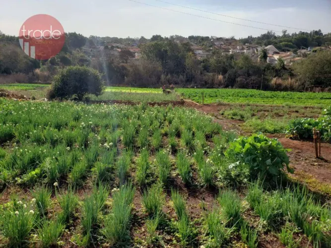 Chácara com 2 dormitórios à venda, 14000 m² por R$ 7.000.000,00 - Condomínio Quinta da Boa