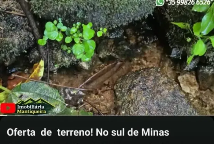 Excelente Sítio com 6 Alqueires na Região de Virgínia, Sul de Minas Gerais