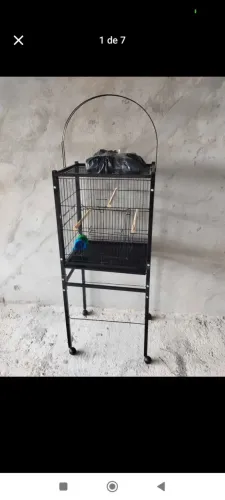 VENDO VIVEIRO PARA CALOPSITA - GAIOPAR