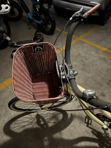 Bicicleta retrô