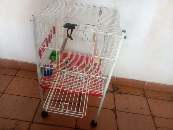 Gaiola de pé