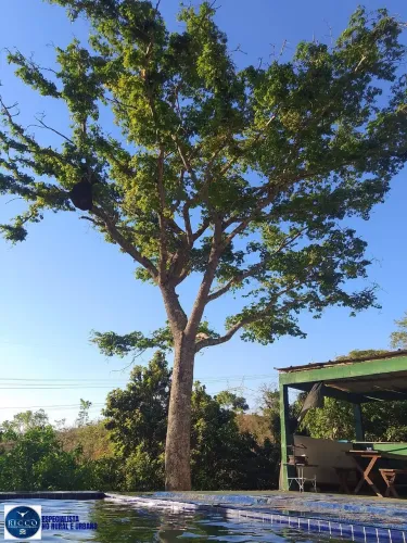 CHÁCARA À VENDA NO CORUMBÁ IV  GO | CONDOMÍNIO VILLAGE DAS ACÁCIAS