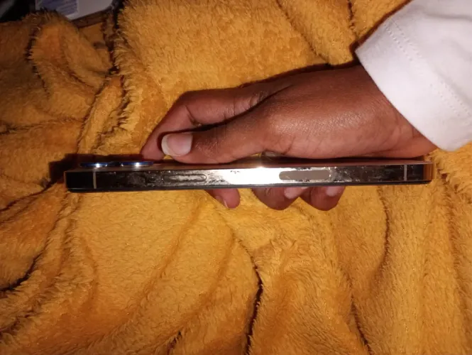 iPhone 12 Pro Max