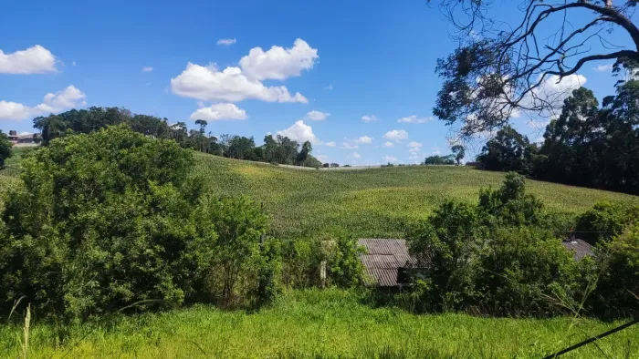 GALPÃO PARA ALUGAR - CAMPO MAGRO/PR