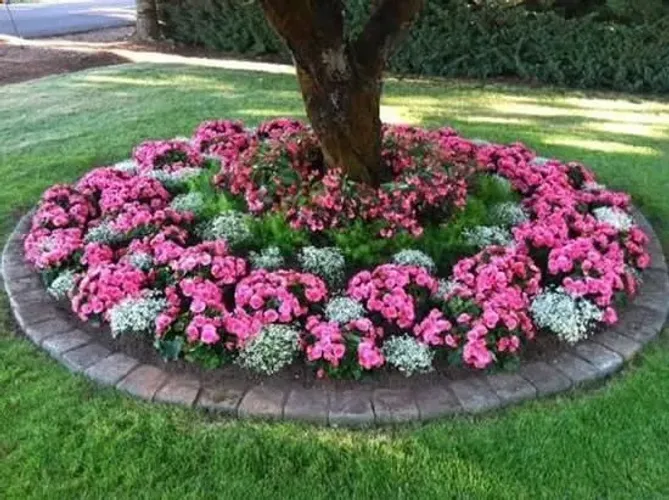 Ofereço serviço como jardineiro ou caseiro