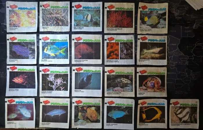 Lote c/ 21 figurinhas Ping Pong Fundo do Mar (1992)