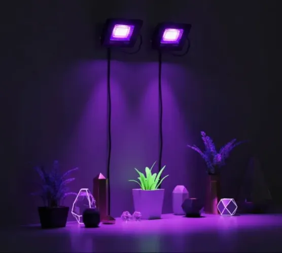 Refletor de Luz Negra 50W 