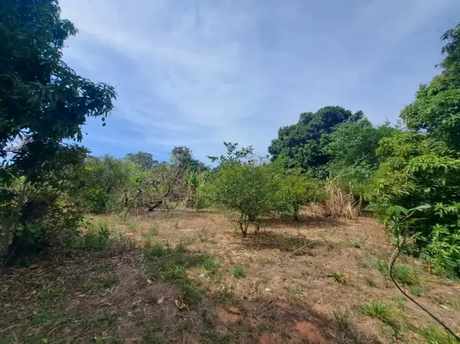 Chácara Imóvel para venda possui 1160 metros quadrados em Chácaras Meu Cantinho - Monte M