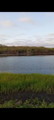 Vende se uma fazenda de 36 Hectares, como muita agua