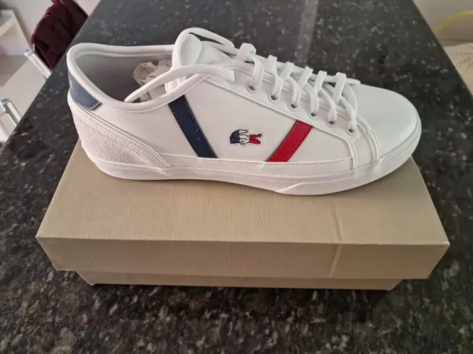 Tênis Lacoste masculino original 