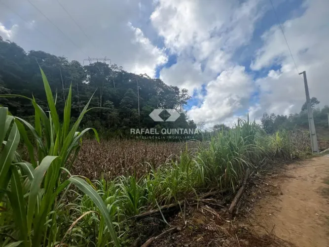 VENDA: Terreno Rural Plano, 1 Hectare com Excelente Localização e Infraestrutura, Águas Mo