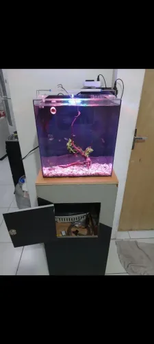 Aquário completo