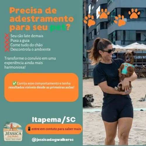 Dog Walker em Itapema - Passeadora de Cães Profissiona
