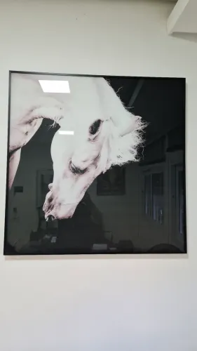 Quadro