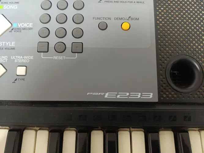 Teclado Yamaha psr e233