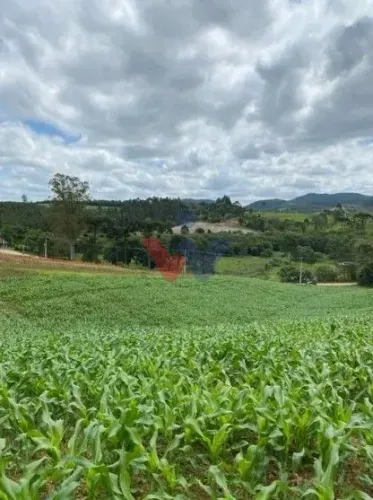 Terreno de 9,46 ha em Tijucas do Sul Ideal para Agricultura ou Chácara