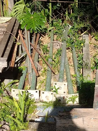 Jardim