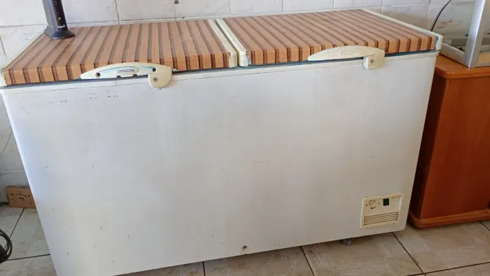 Freezer horizontal