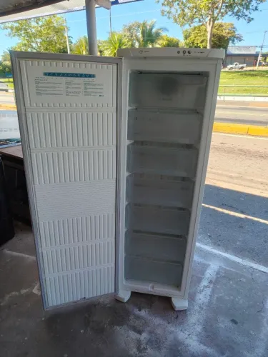 FREEZER VERTICAL FROST FREE