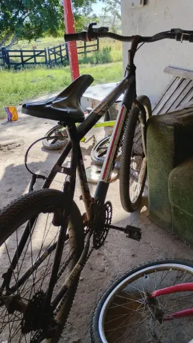 Bicicleta