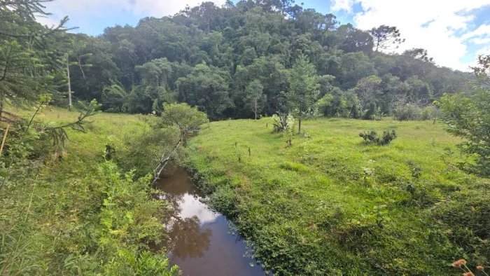 TERRENO RURAL em CAMPO ALEGRE - SC, Laranjeiras