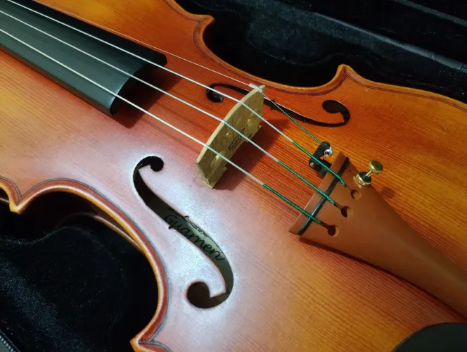 violino guarneri anno 1737<br>