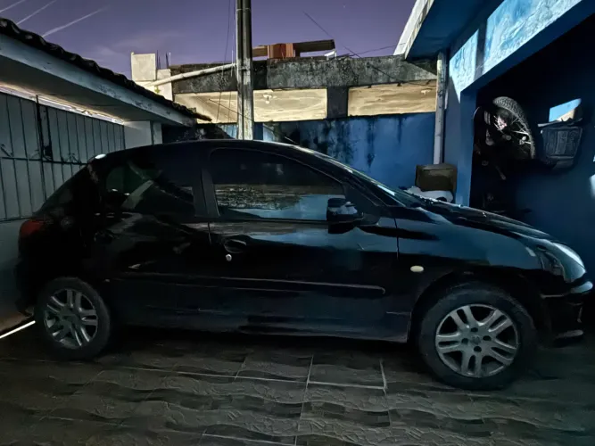 Peugeot 206 Presence 1.4/ 1.4 Flex 8V 5P 2007