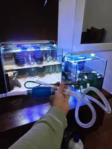 2 Aquários 25l e um de 30L