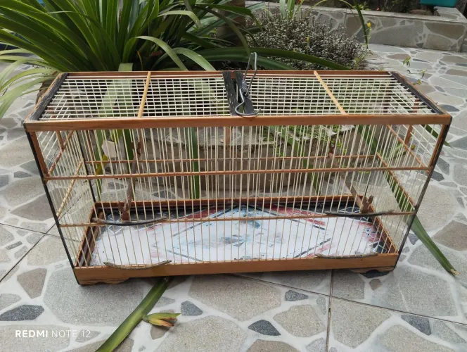 Voador voadeira gaiola bem conservada papa capim coleiro caboclinho canário